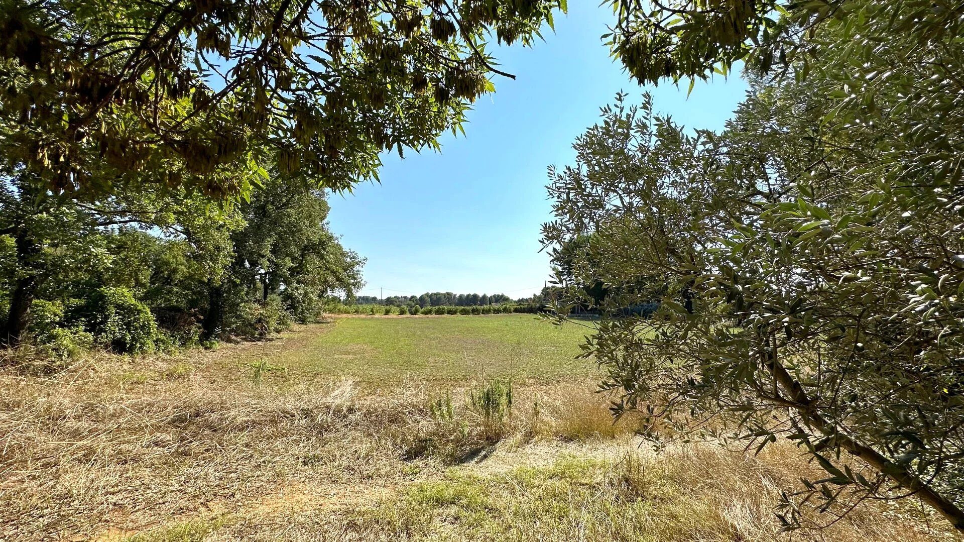 Property view 5