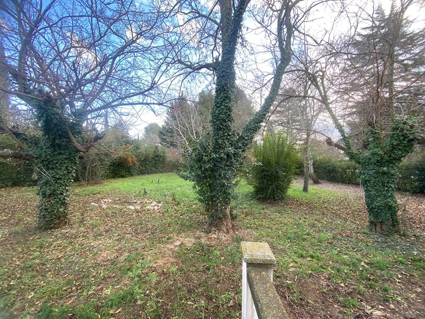 Property view 5