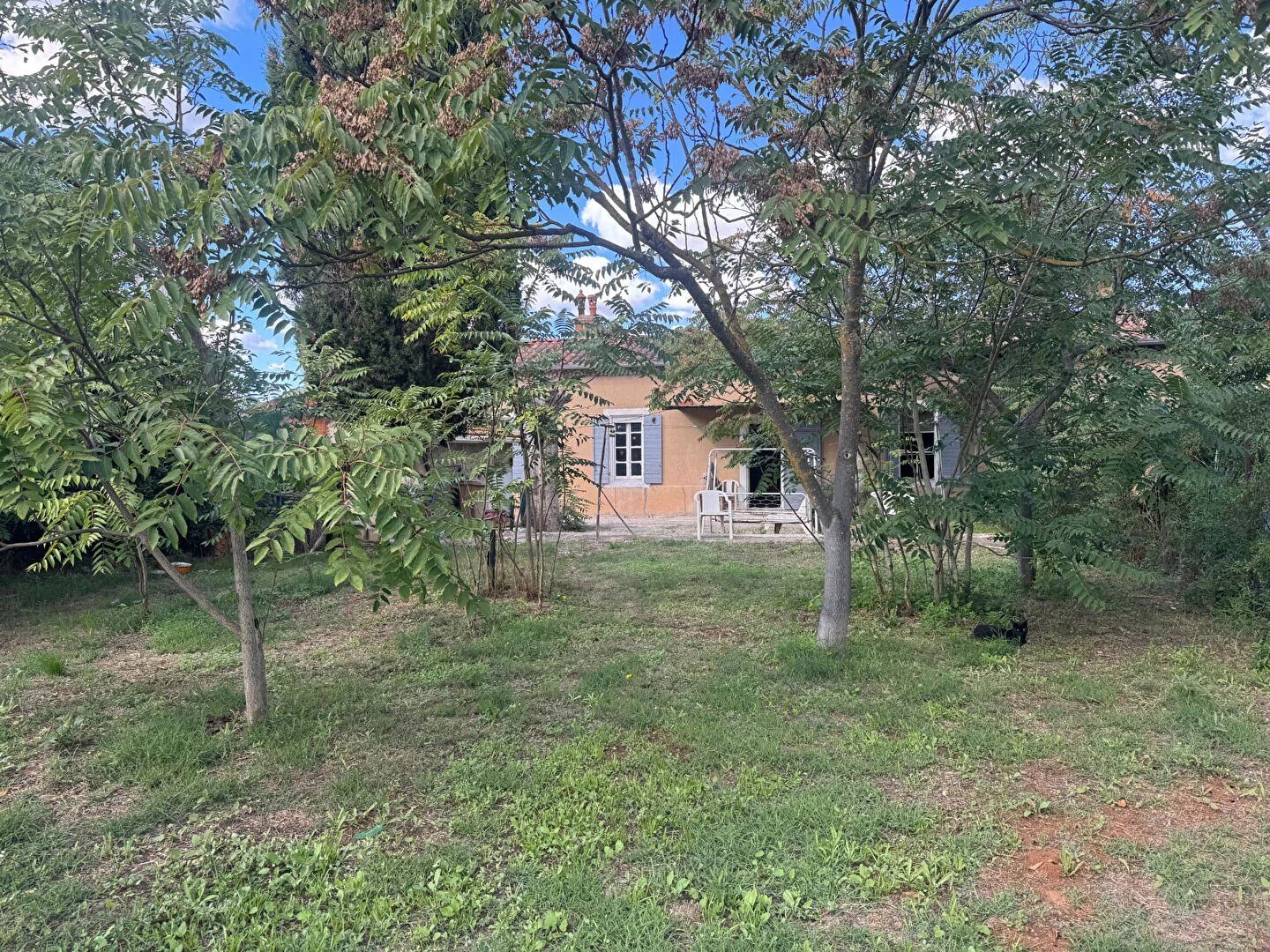 Property view 2