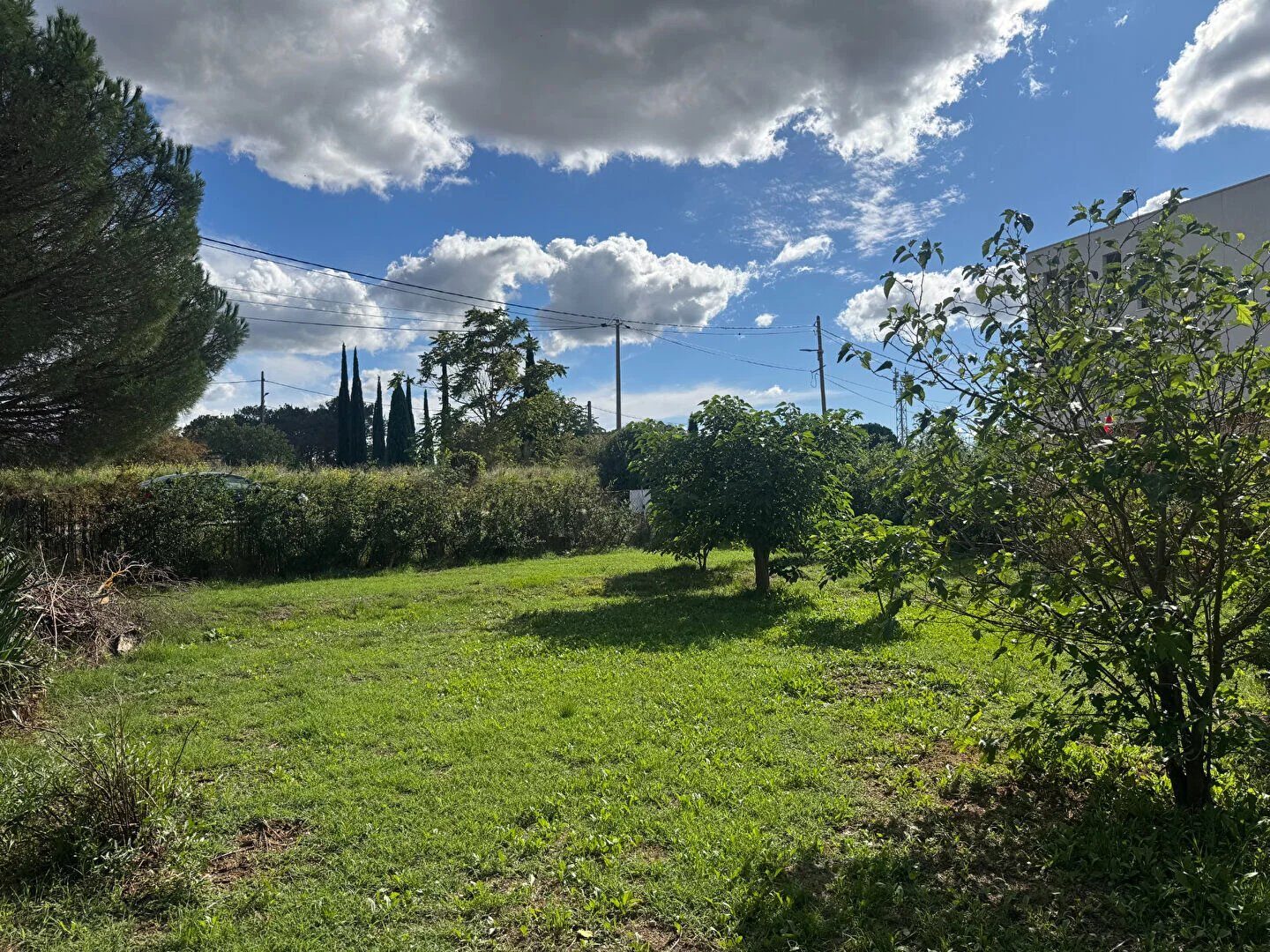 Property view 3