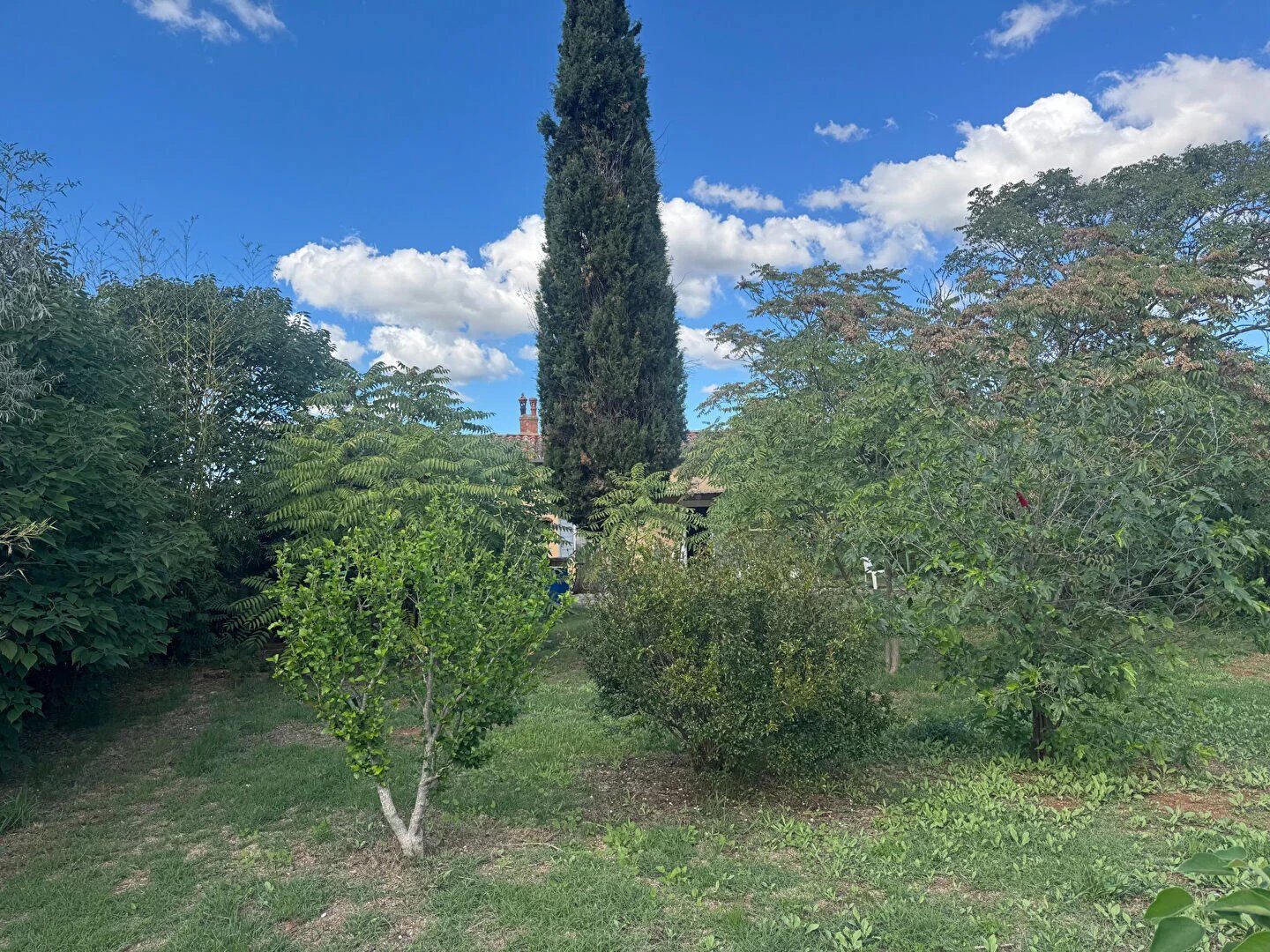 Property view 4