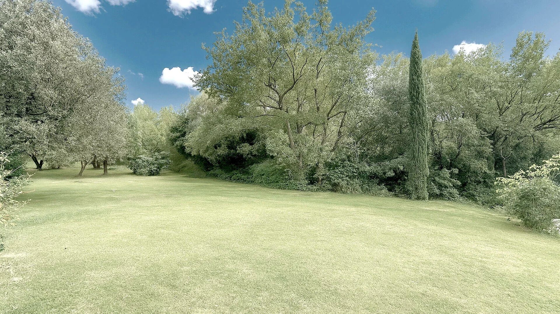Property view 3