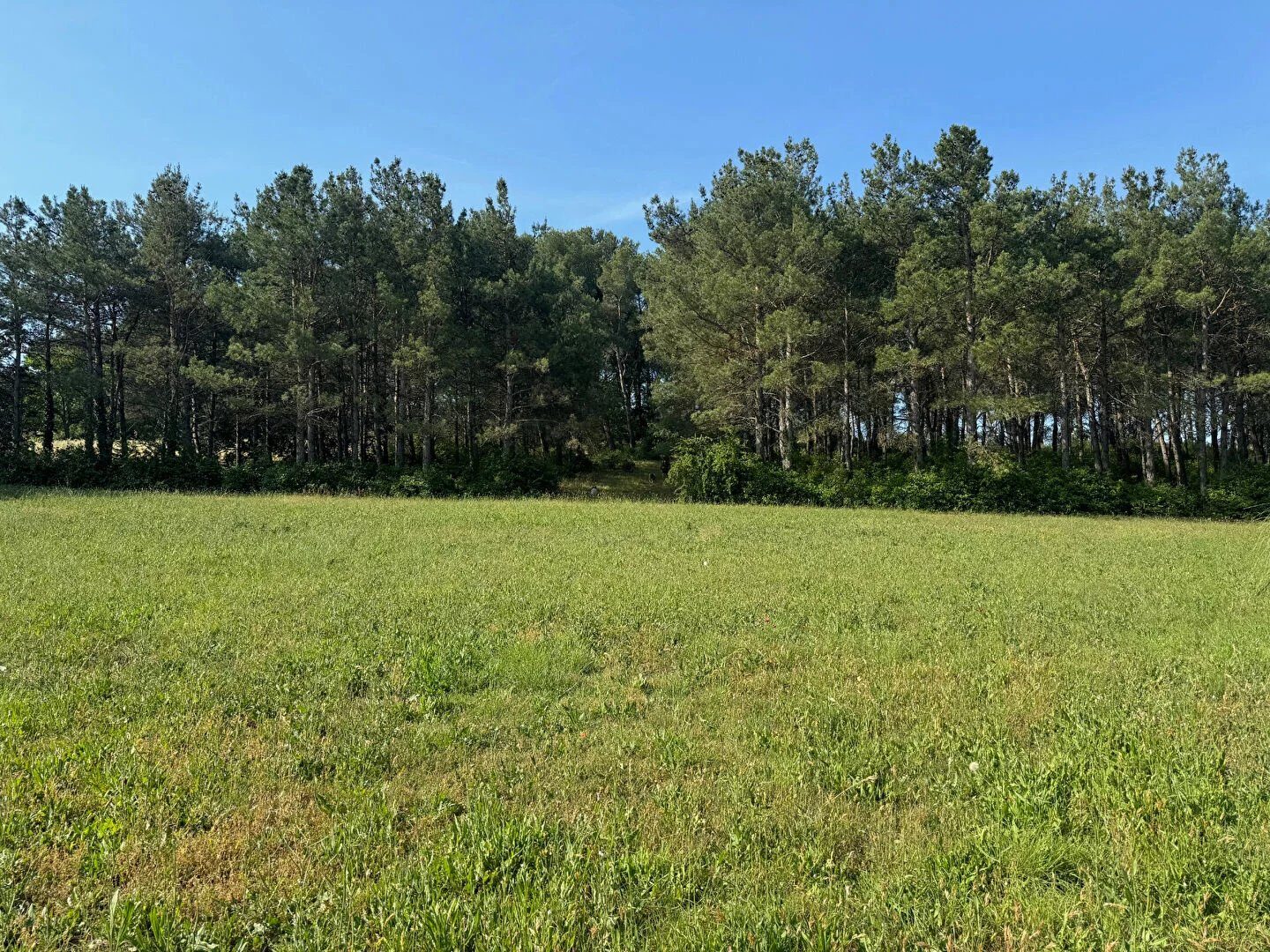 Property view 2