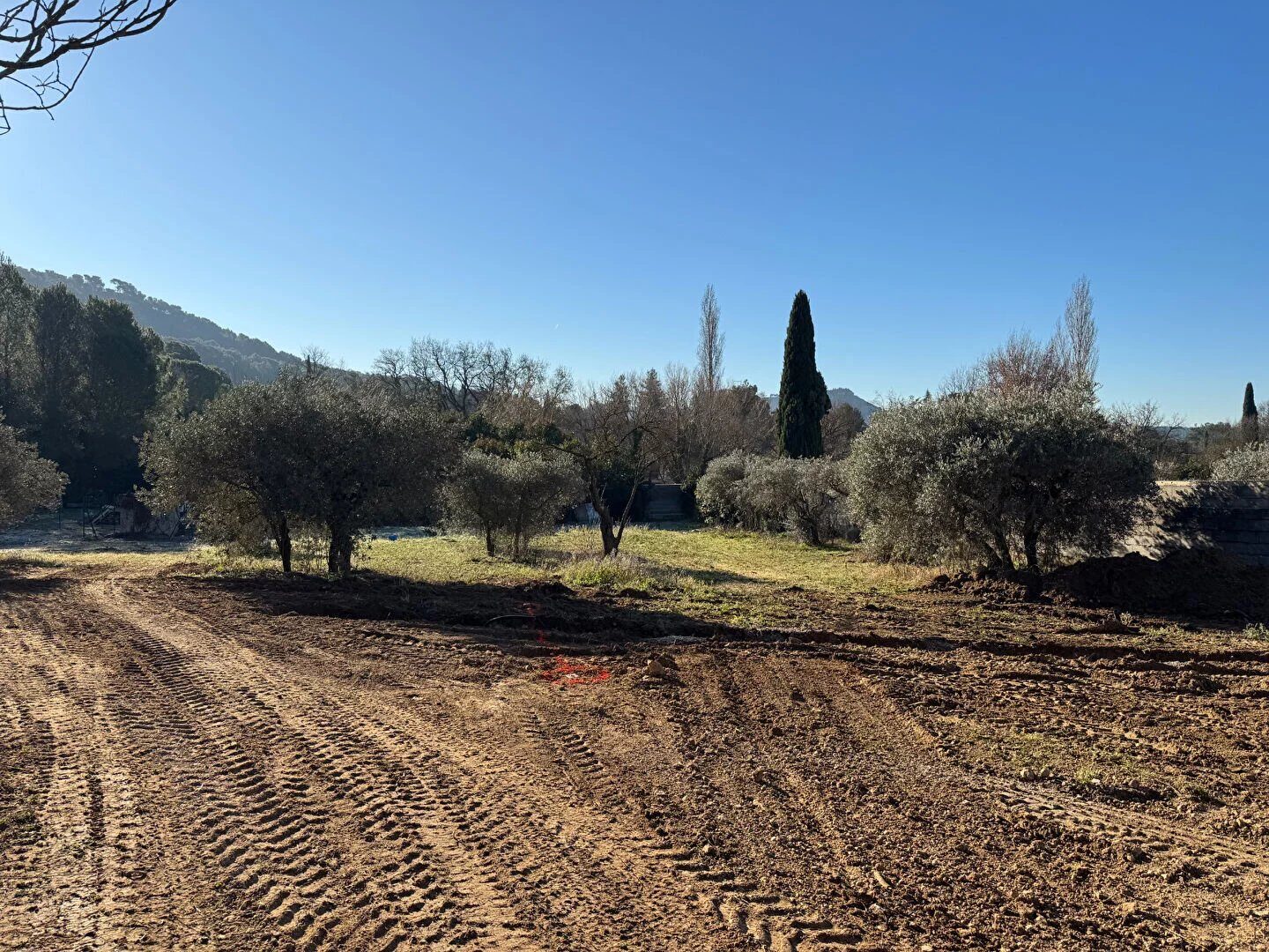 Property view 2