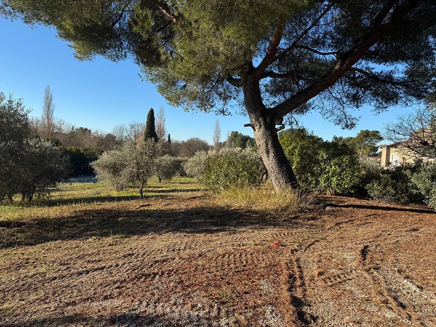 Property view 3
