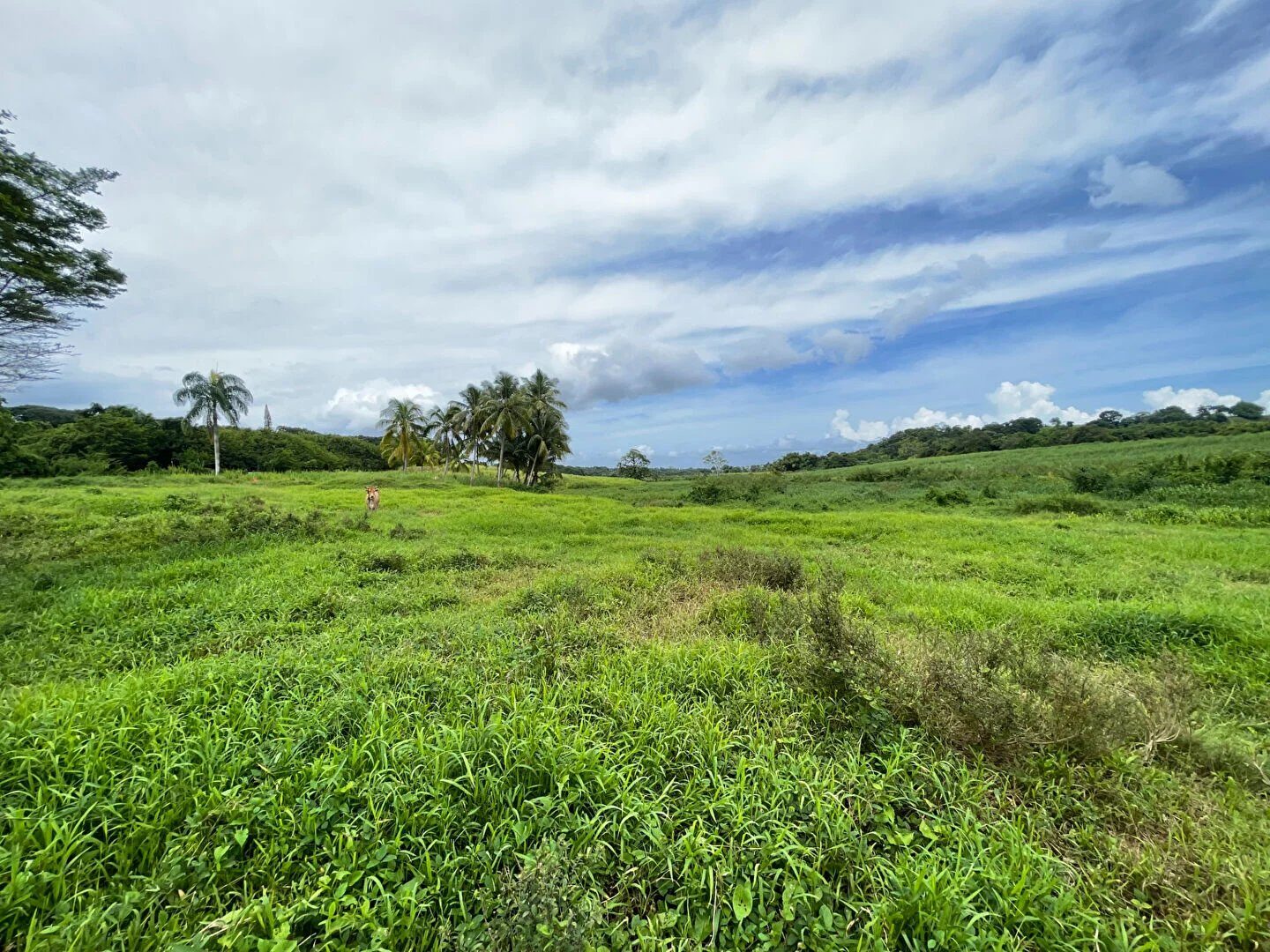 Property view 2