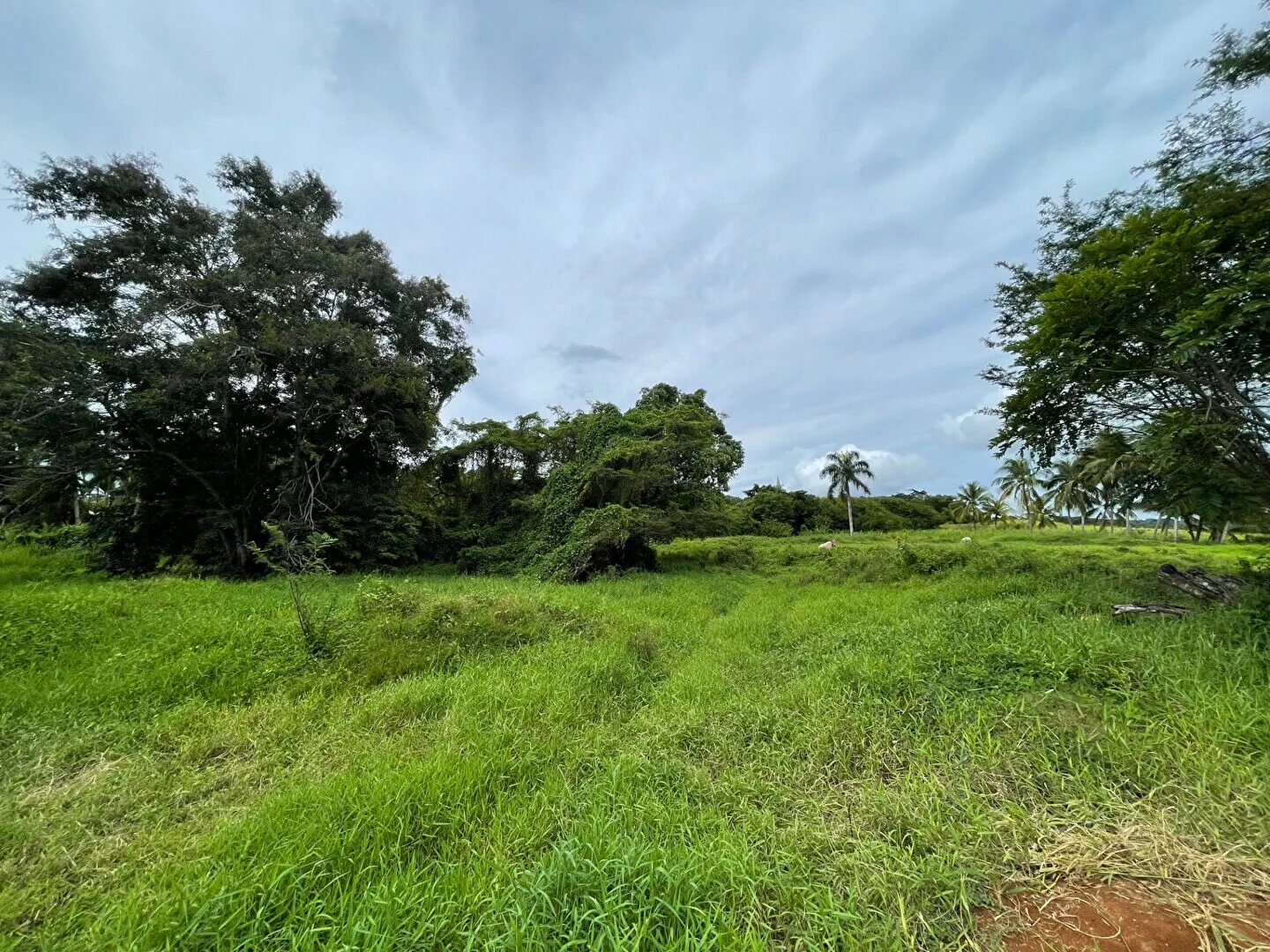 Property view 3