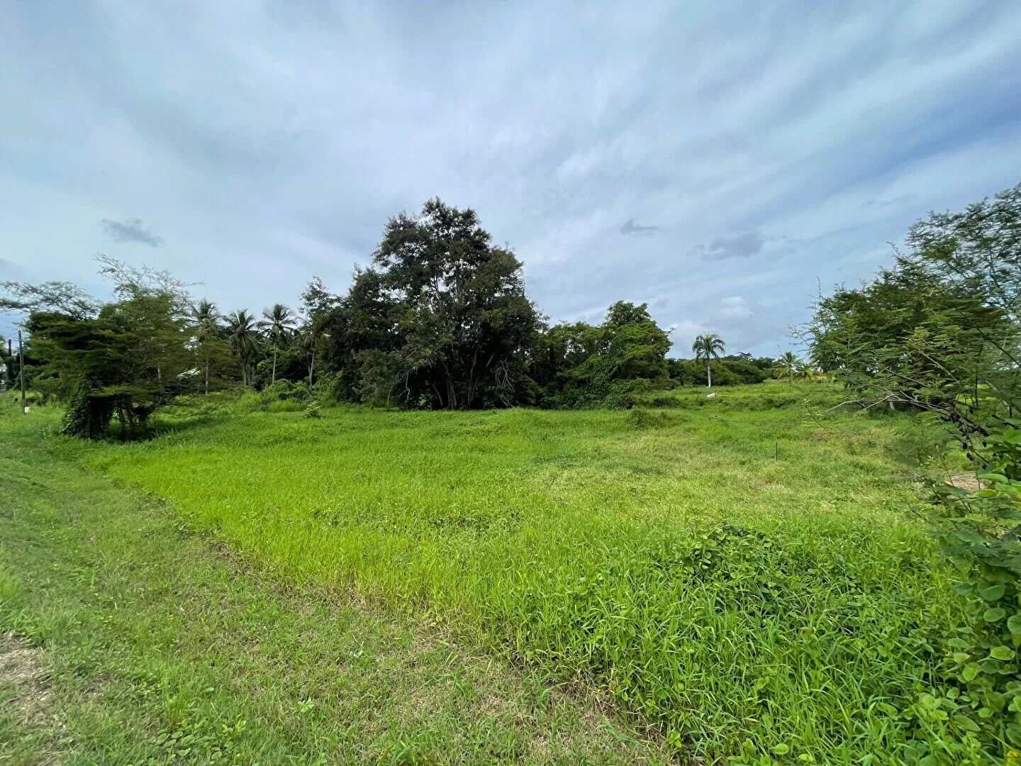 Property view 4