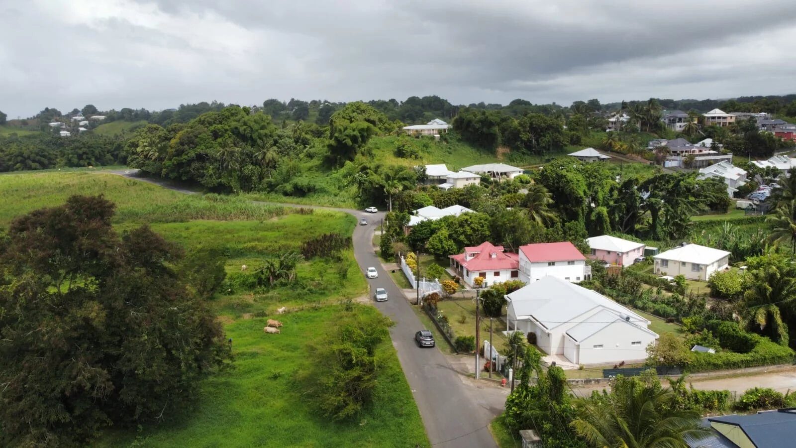 Property view 5