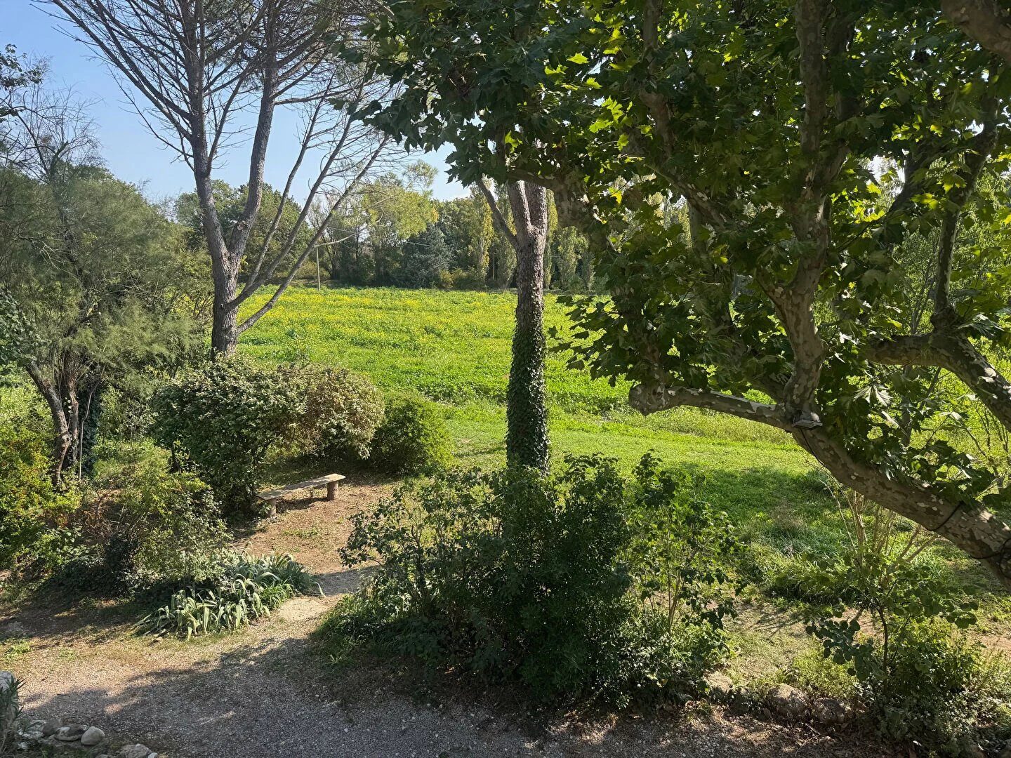Property view 3