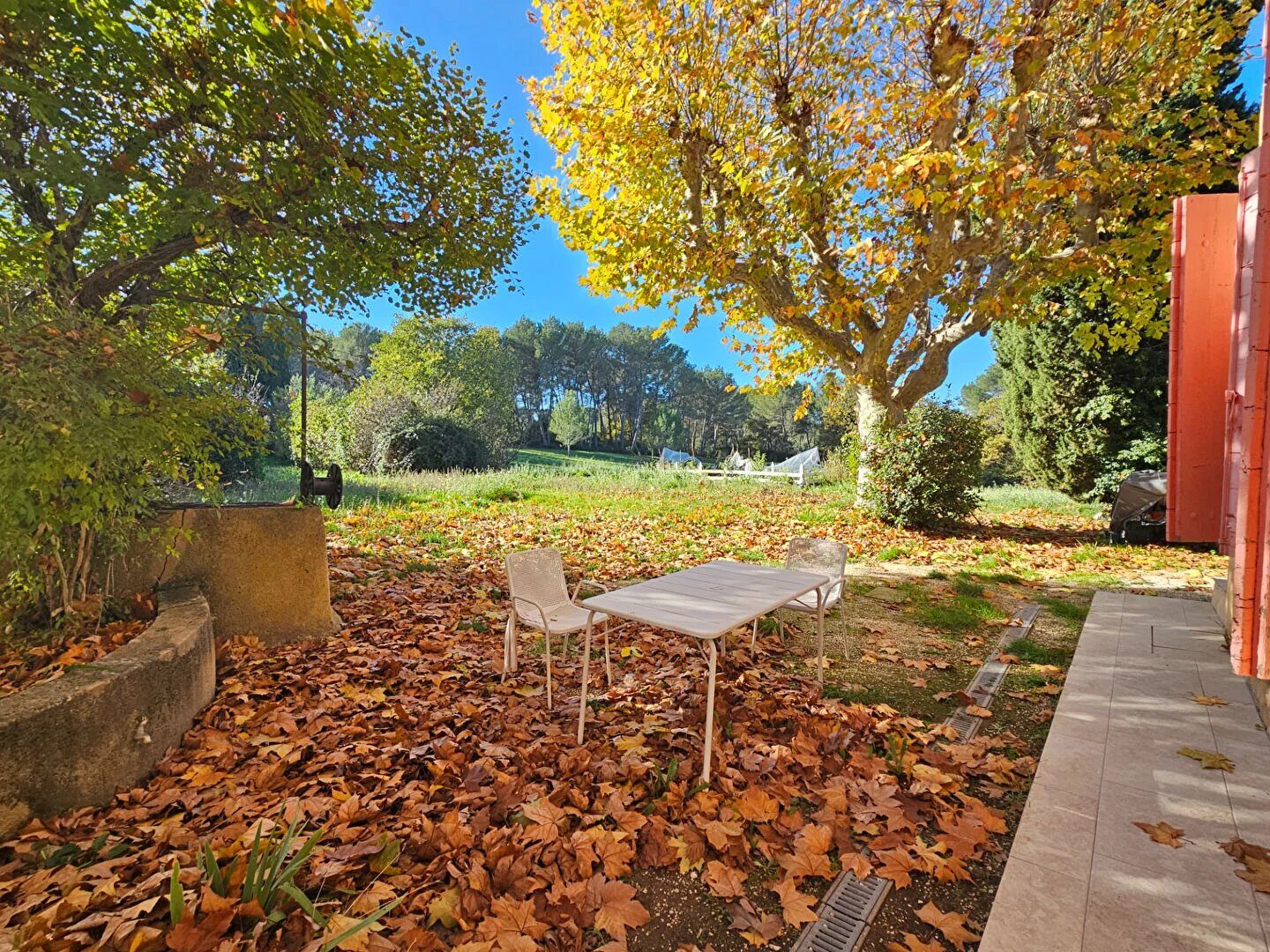 Property view